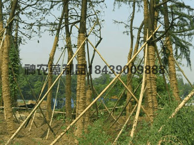 客戶現場