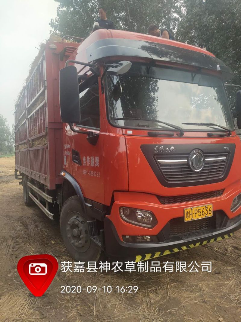 U型草支墊發貨現場
